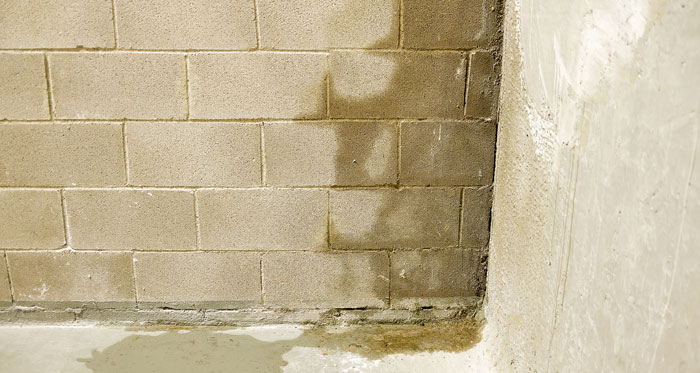 Tega Cay, SC, Leaking Basement